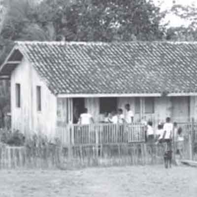 a fazenda do barulho